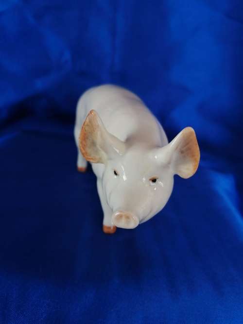 SUPER BESWICK SOW PIG "CH WALL QUEEN 40
