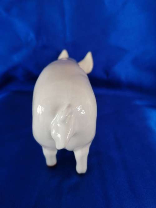 SUPER BESWICK SOW PIG "CH WALL QUEEN 40