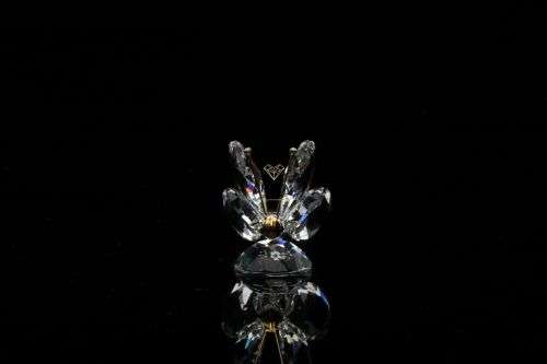 SWAROVSKI CRYSTAL BUTTERFLY MINIATURE 7667 035 000  *