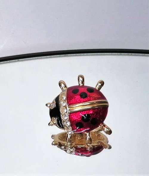 Beautiful Vintage Enamel Cyrstal Red and Black Ladybird Pin #