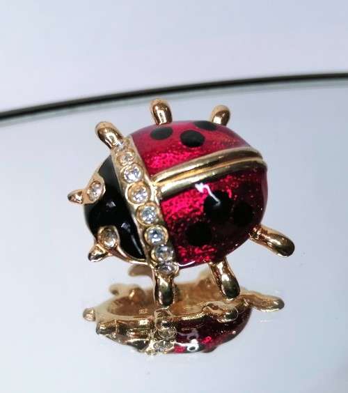 Beautiful Vintage Enamel Cyrstal Red and Black Ladybird Pin #