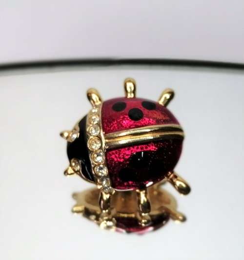 Beautiful Vintage Enamel Cyrstal Red and Black Ladybird Pin #