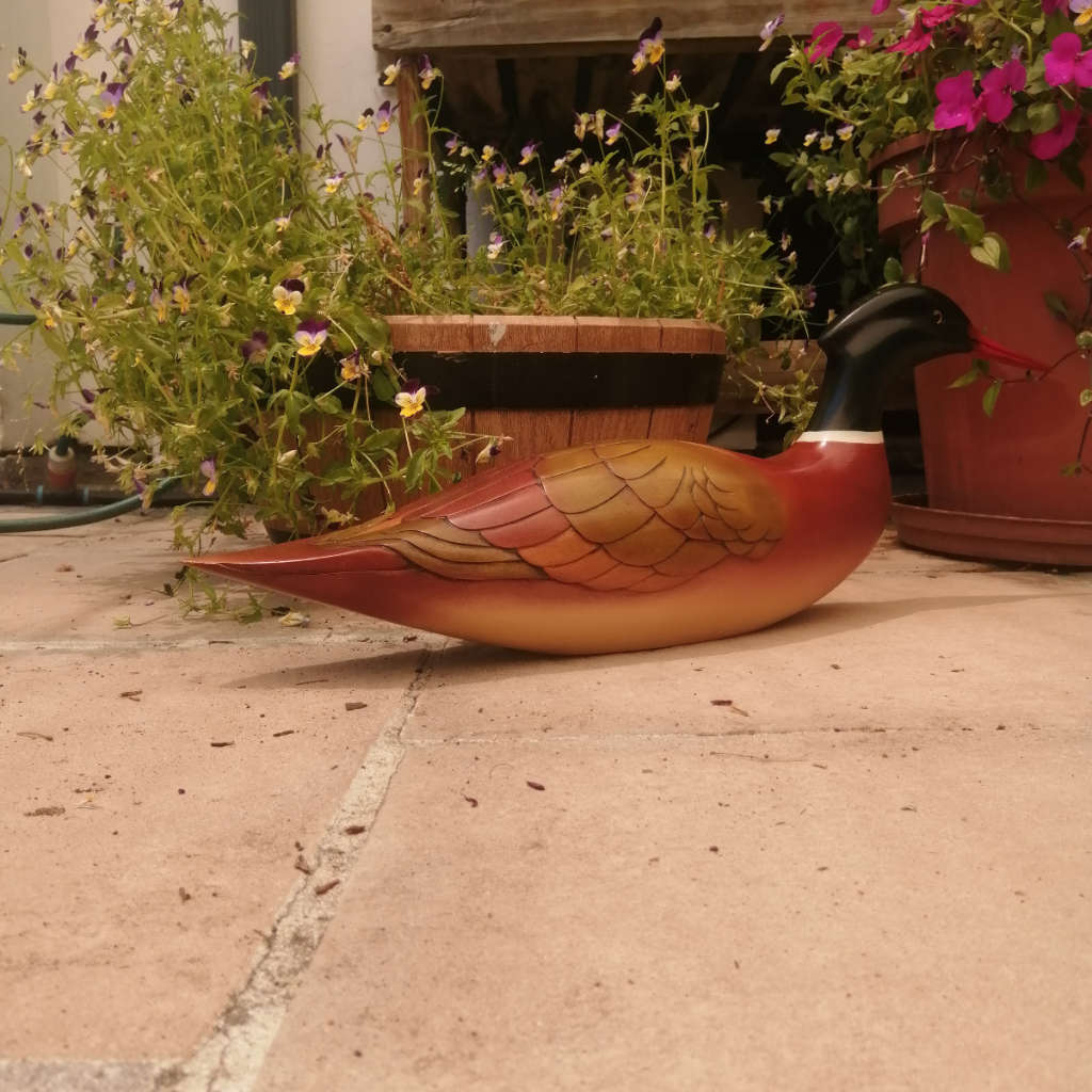 Feathers of Knysna Gallery carved and hand painted XX-Large 60 cm Merganzer Duck 443/975