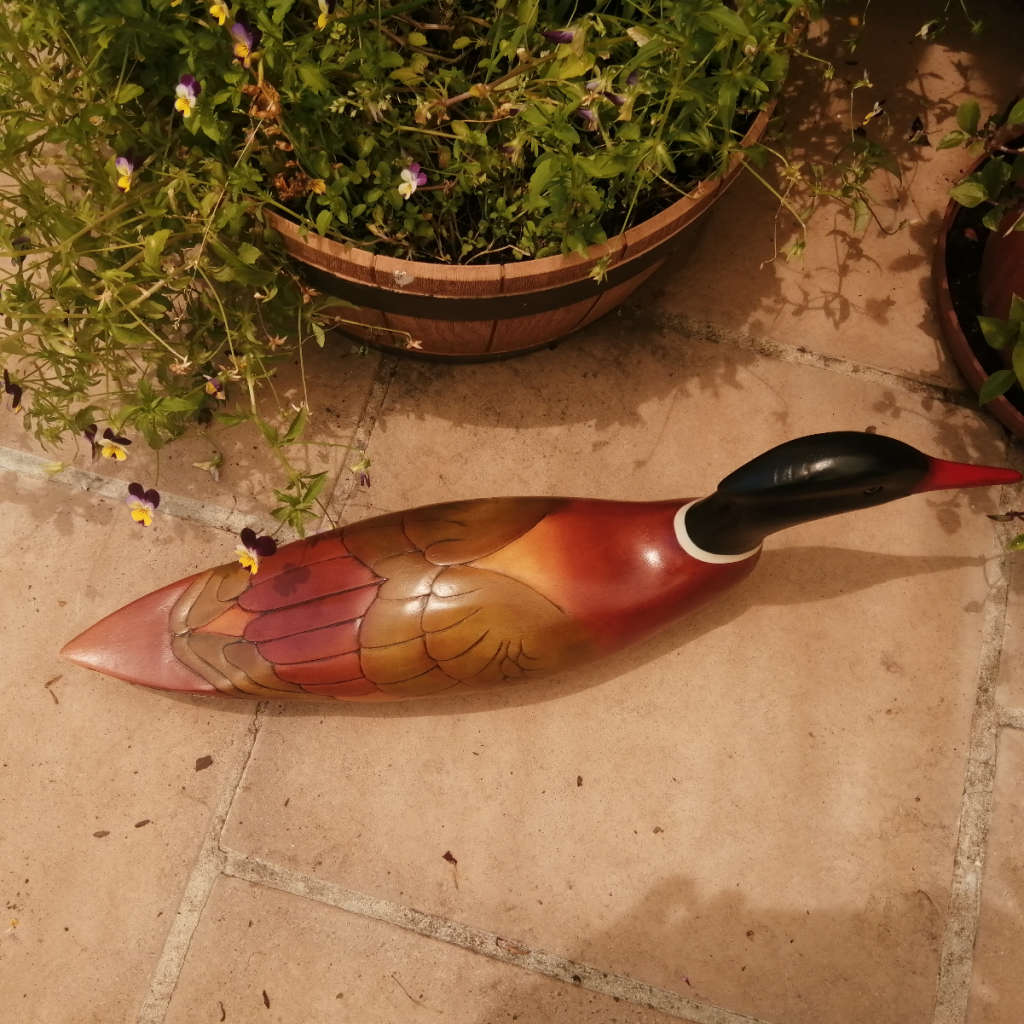 Feathers of Knysna Gallery carved and hand painted XX-Large 60 cm Merganzer Duck 443/975