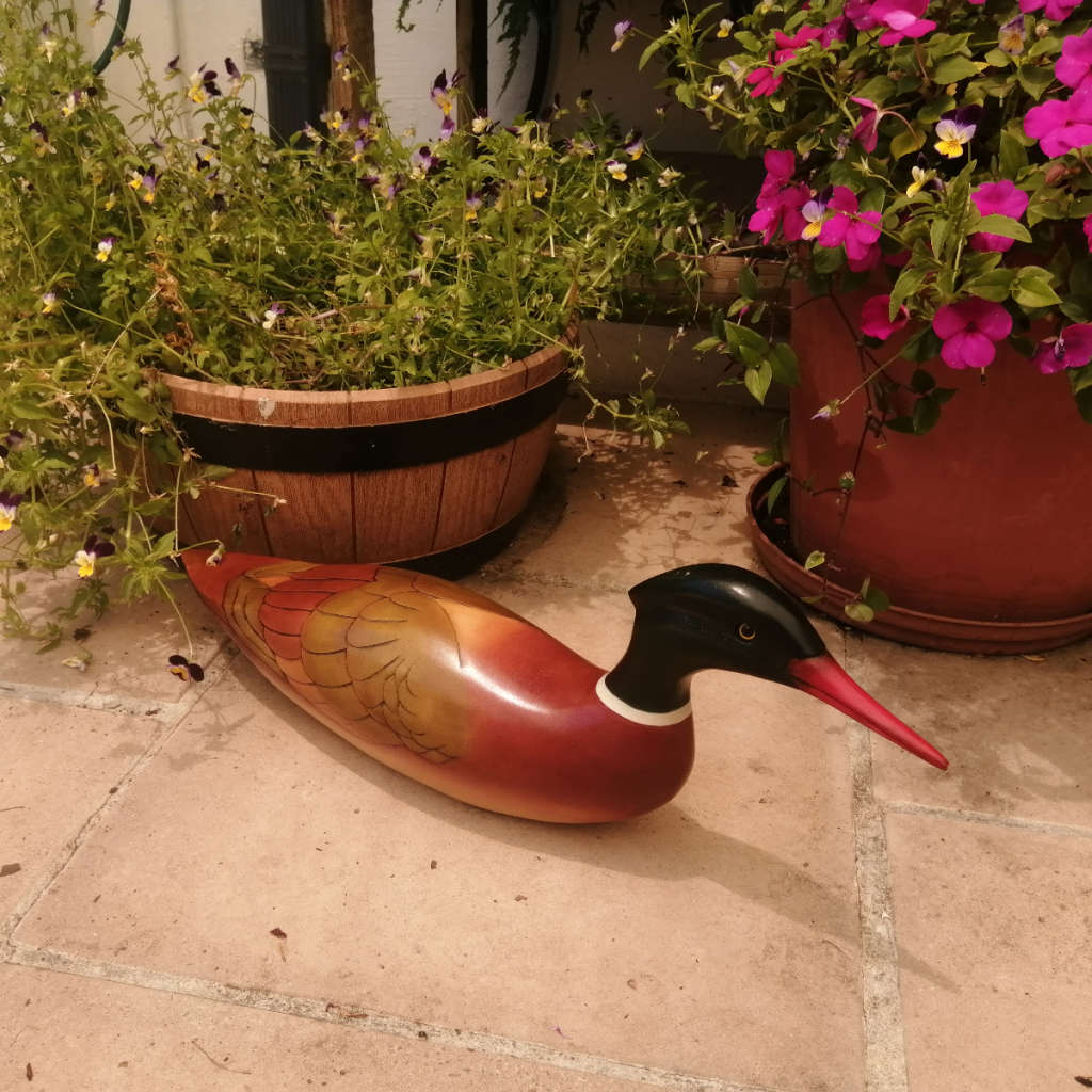 Feathers of Knysna Gallery carved and hand painted XX-Large 60 cm Merganzer Duck 443/975