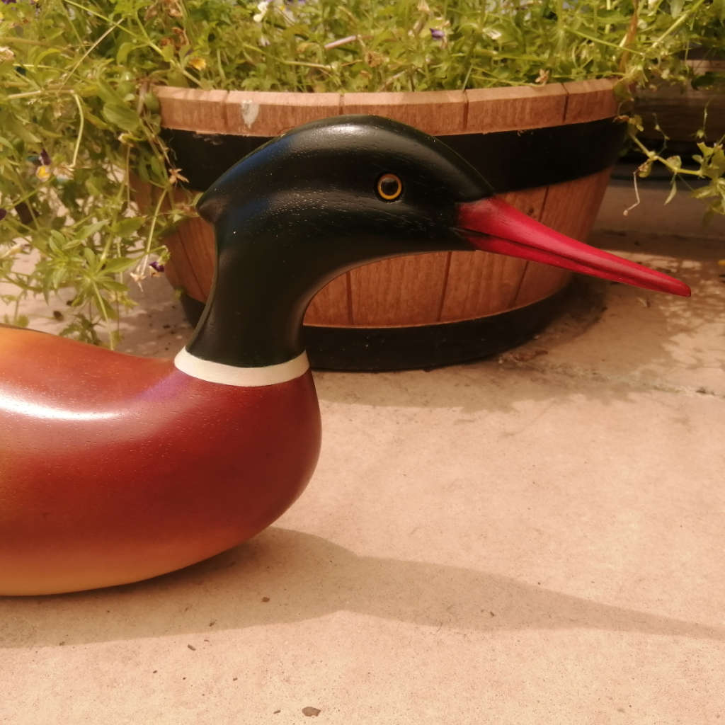 Feathers of Knysna Gallery carved and hand painted XX-Large 60 cm Merganzer Duck 443/975