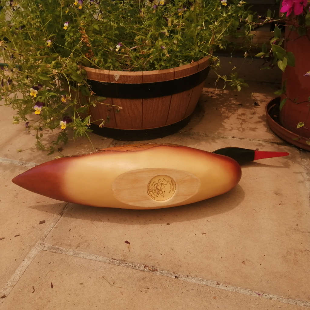 Feathers of Knysna Gallery carved and hand painted XX-Large 60 cm Merganzer Duck 443/975