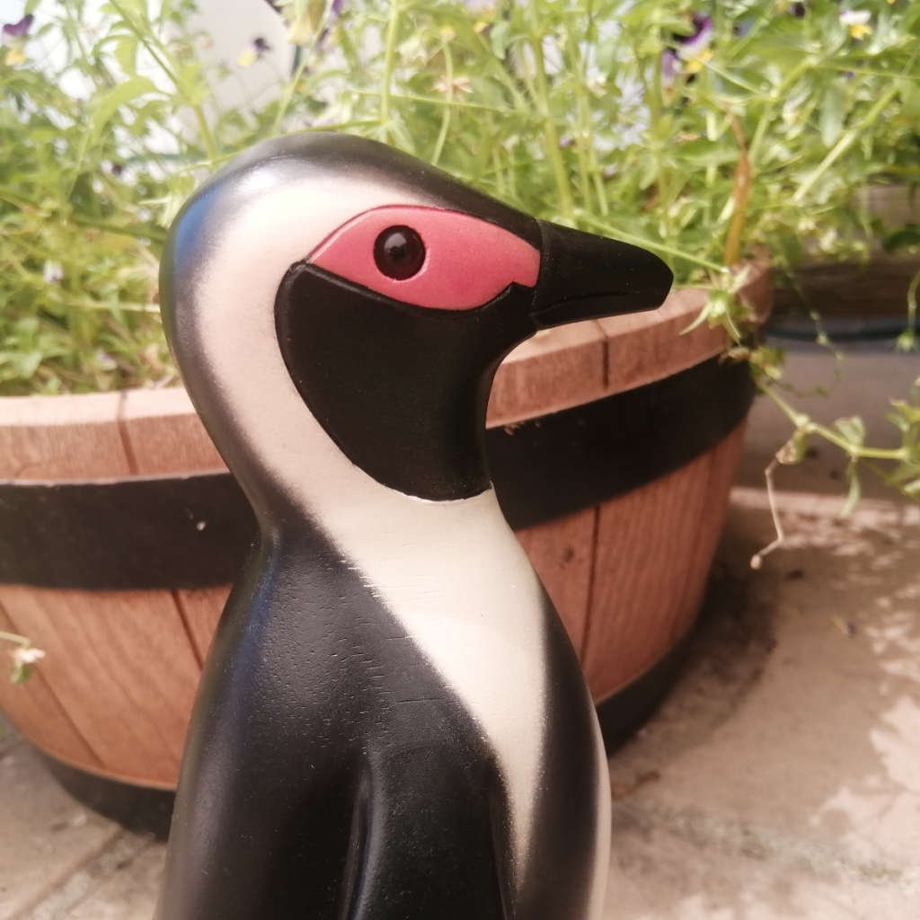 Feathers of Knysna Gallery carved and hand painted Jackass Penguin 1407/2000