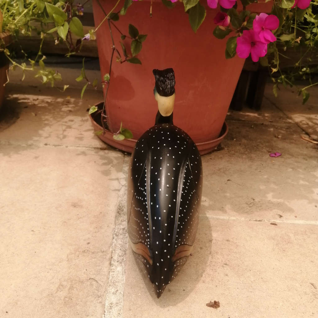 Feathers of Knysna Gallery carved and hand painted Female Guinea Fowl Fossils