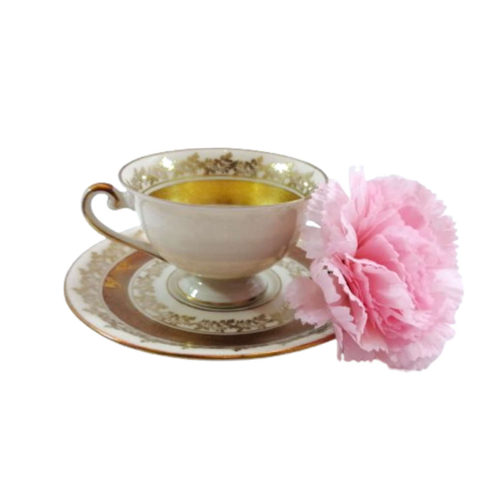 Alka Bavaria Sylvia Porcelain Tea Cup and Saucer Duo