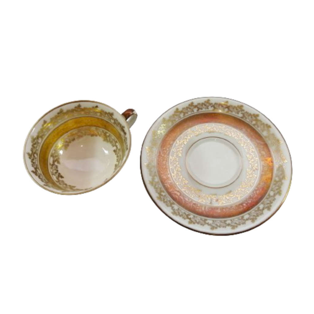 Alka Bavaria Sylvia Porcelain Tea Cup and Saucer Duo