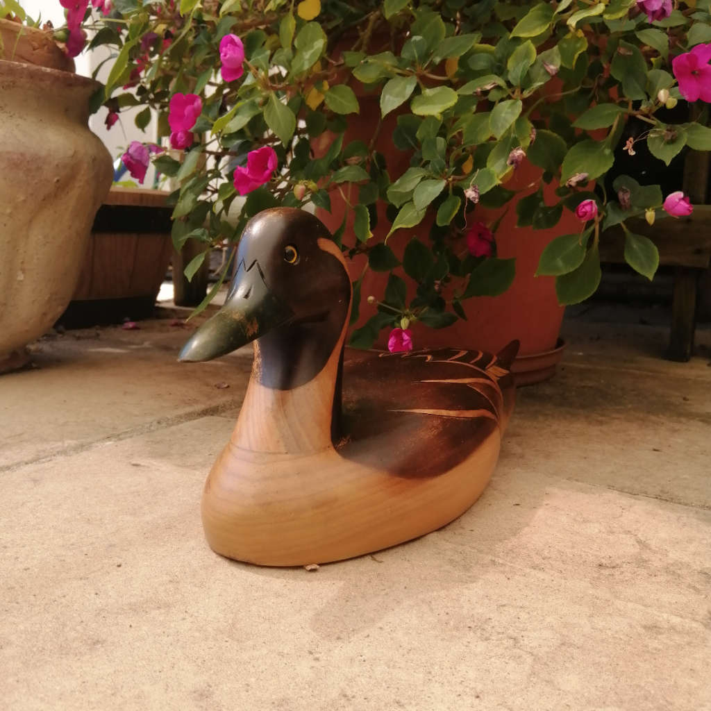 Feathers of Knysna Gallery carved and hand painted Pintail 109 Pylstert 656/975