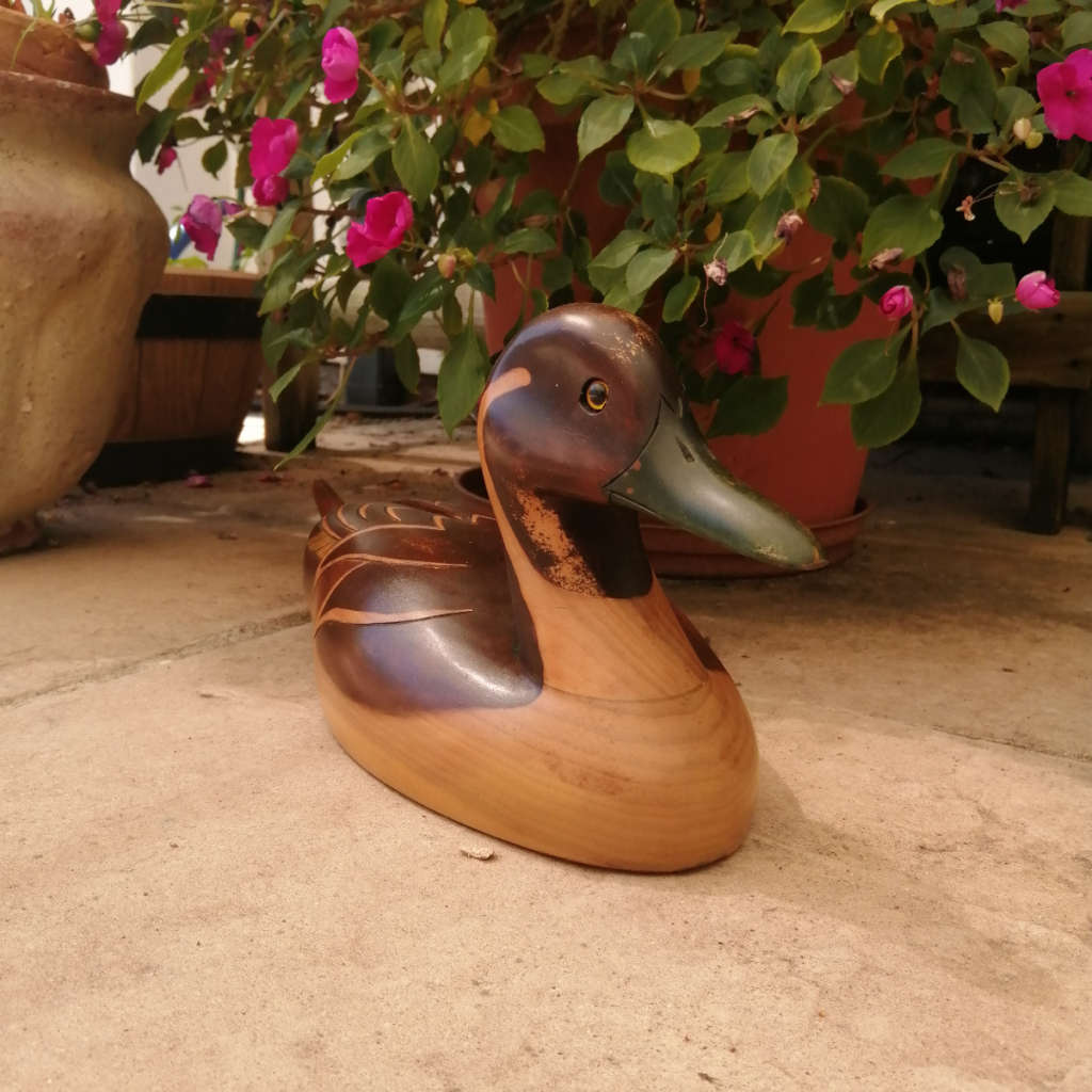 Feathers of Knysna Gallery carved and hand painted Pintail 109 Pylstert 656/975