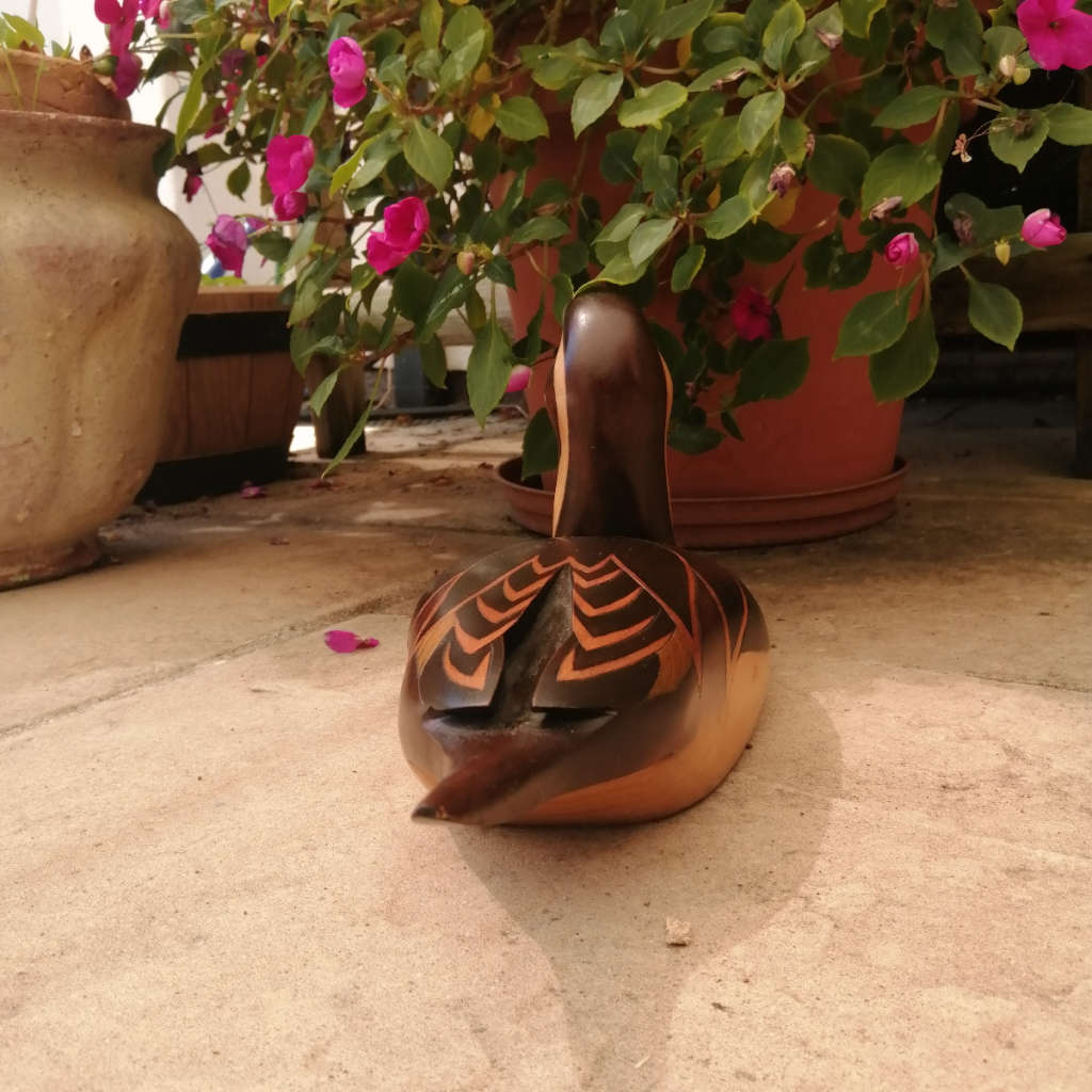 Feathers of Knysna Gallery carved and hand painted Pintail 109 Pylstert 440/975