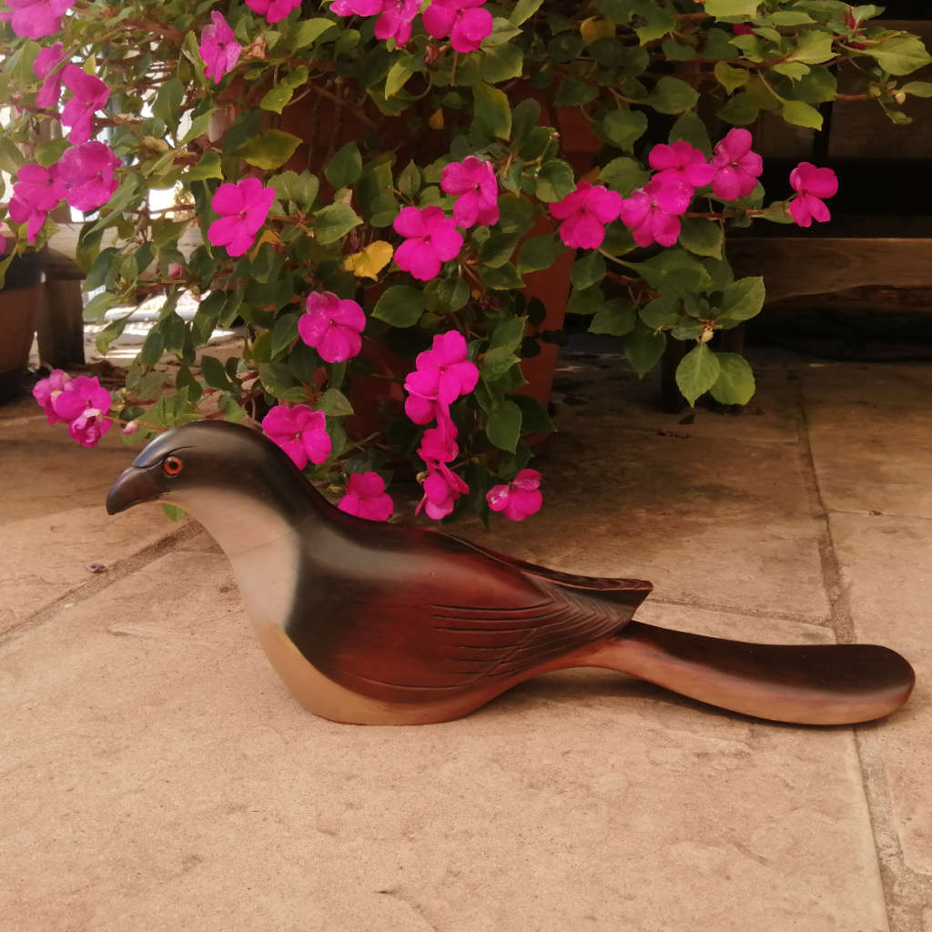 Feathers of Knysna Gallery carved and hand painted  Burchell`s Coucal 281/975