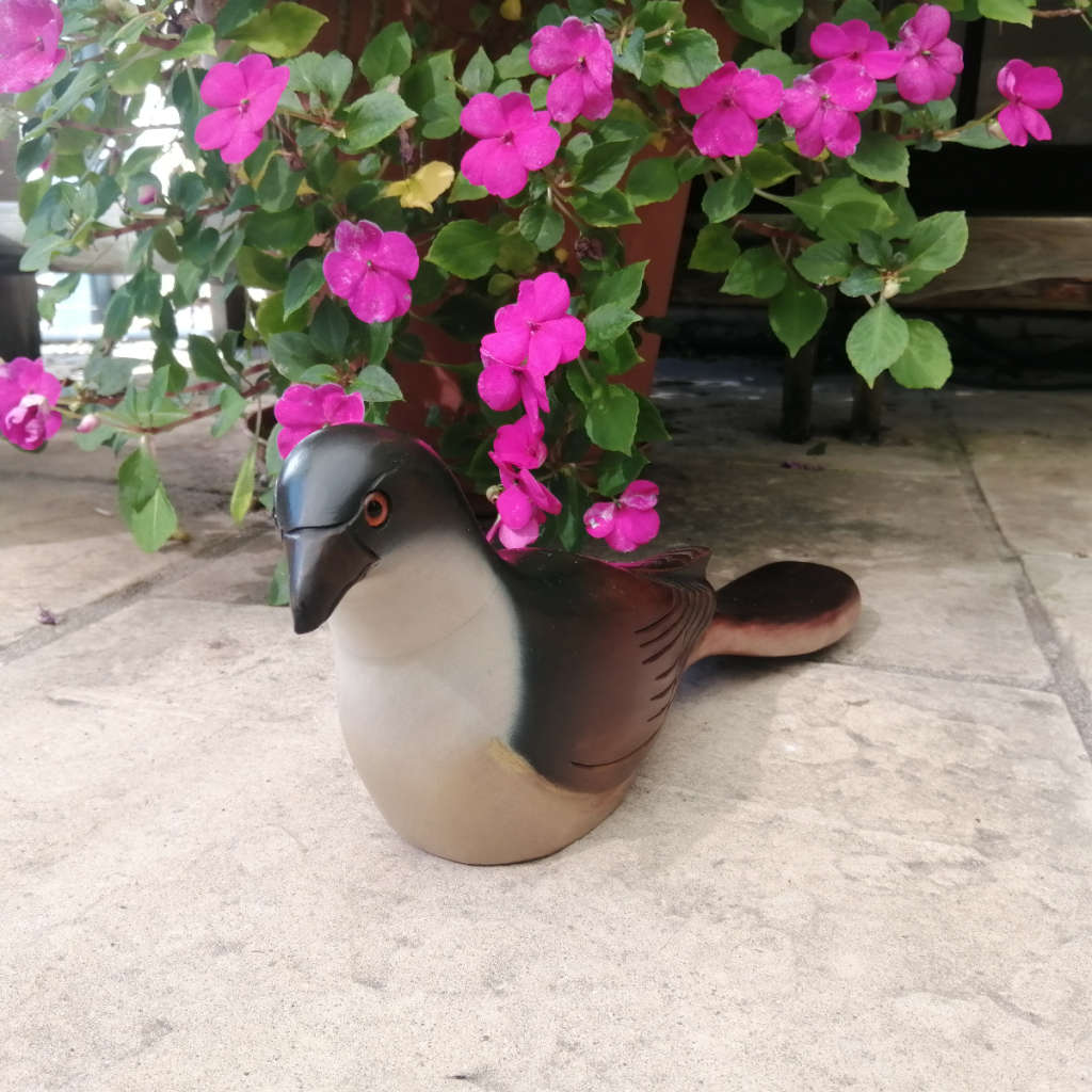 Feathers of Knysna Gallery carved and hand painted  Burchell`s Coucal 281/975