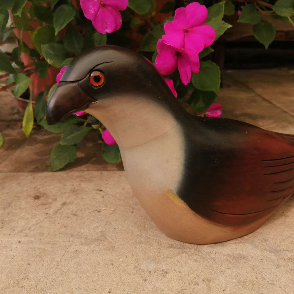 Feathers of Knysna Gallery carved and hand painted  Burchell`s Coucal 281/975