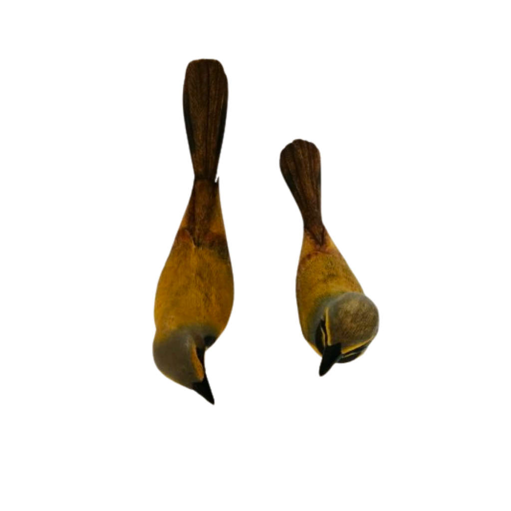 Feathers of Knysna Gallery hand painted  Bokmakierie 56,69/2000