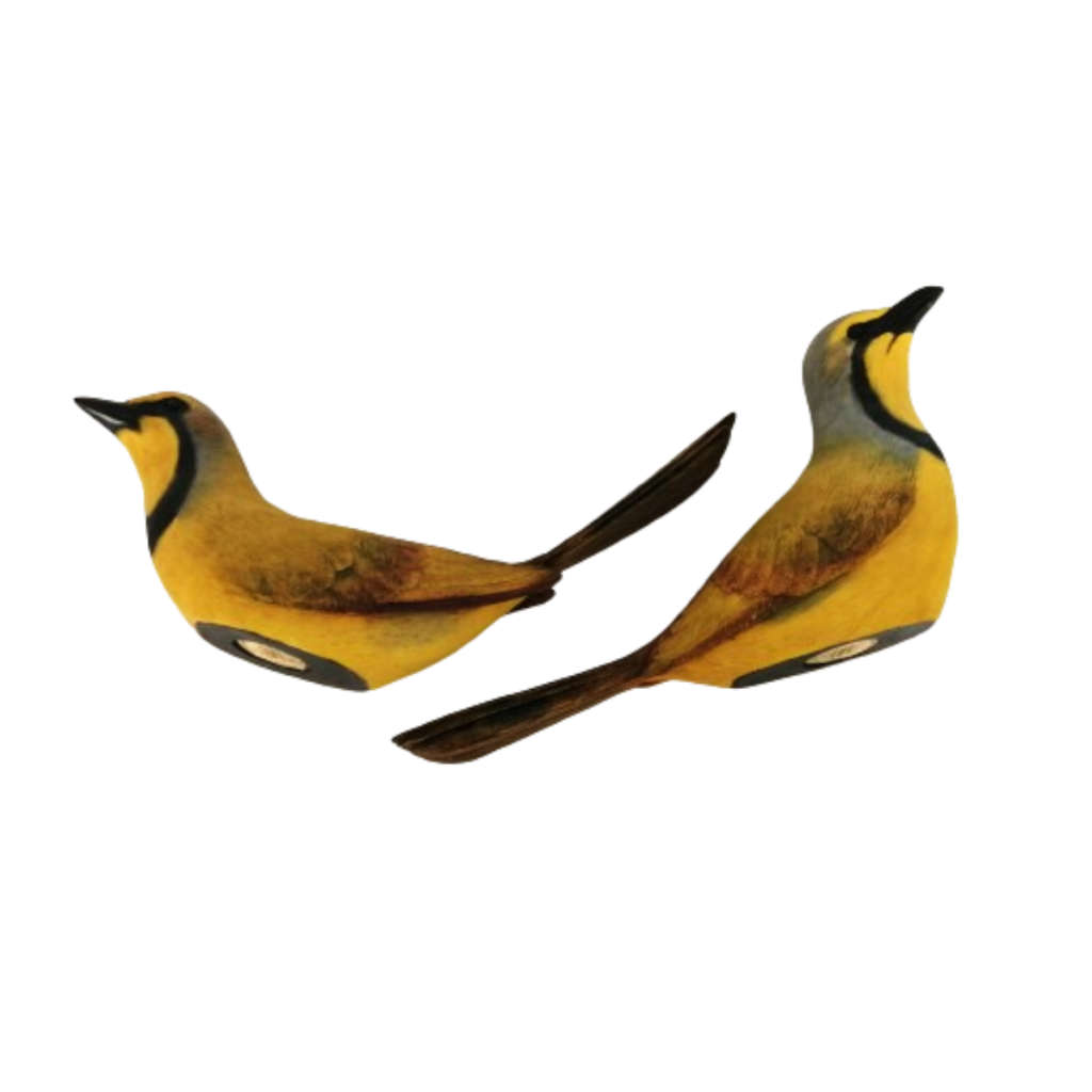 Feathers of Knysna Gallery hand painted  Bokmakierie 56,69/2000