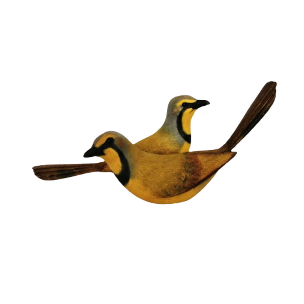 Feathers of Knysna Gallery hand painted  Bokmakierie 56,69/2000