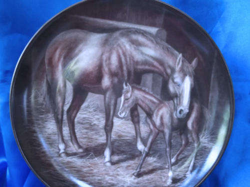 Stunning Kaiser "First Steps"  Horse Plate