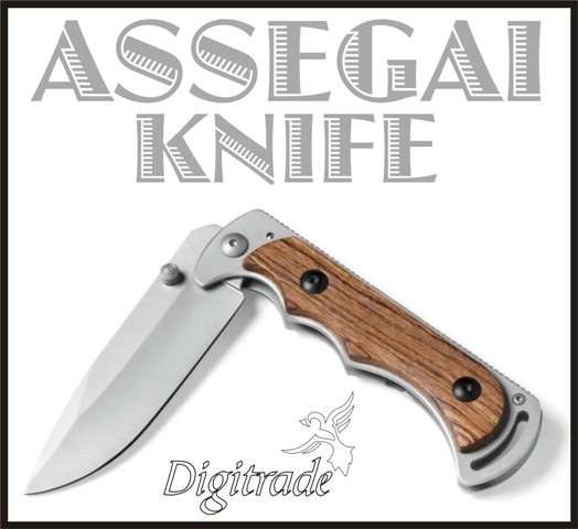 *** SUPER HOT SALE *** ASSEGAI KNIFE - Stunning Rosewood & Stainless Steel knife!!