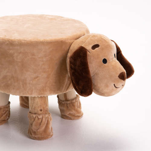 LATE ENTRY:  STOOL - DOG