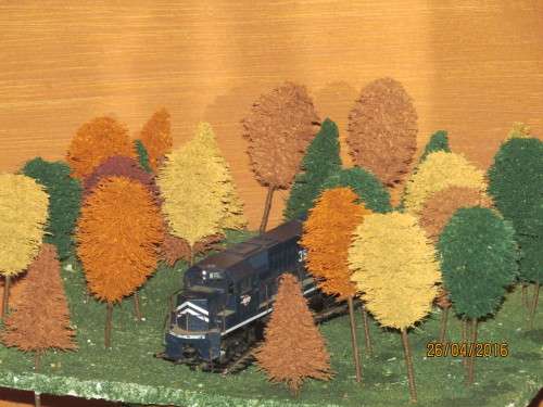 Bulk Model Tree Colour Medley