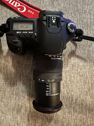 Canon EOS 30D + Sigma 18-200mm Lens