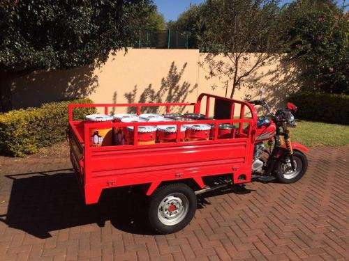 eeBike Trike Bakkie/Cargo Vehicle