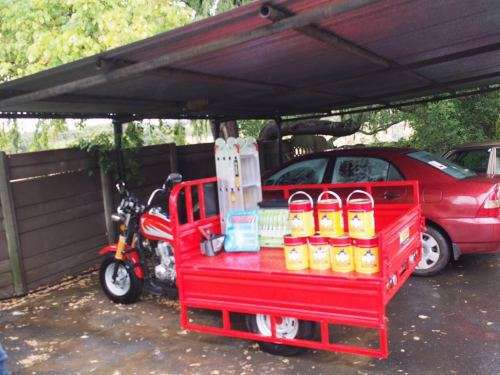 eeBike Trike Bakkie/Cargo Vehicle