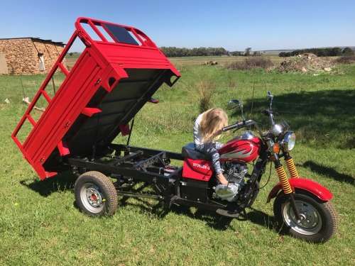 eeBike Trike Bakkie/Cargo Vehicle