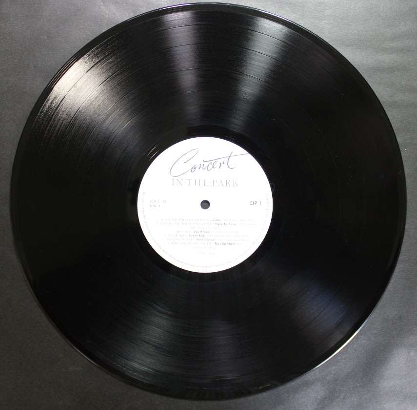 Concert In The Park Double LP