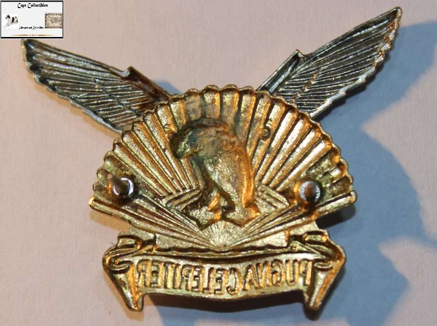 The Durban Regiment Badge.