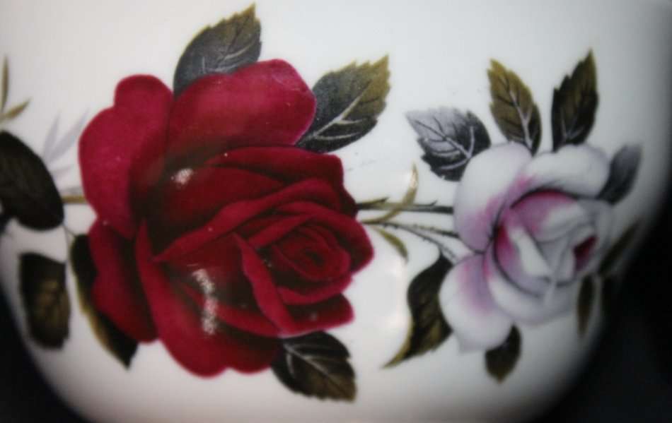 Ridgway Potteries Colclough Bone China Milk Jug and Sugar Basin