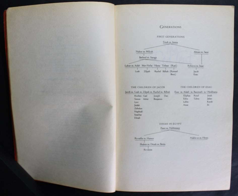 The Red Tent by Anita Diamant, Softcover Book