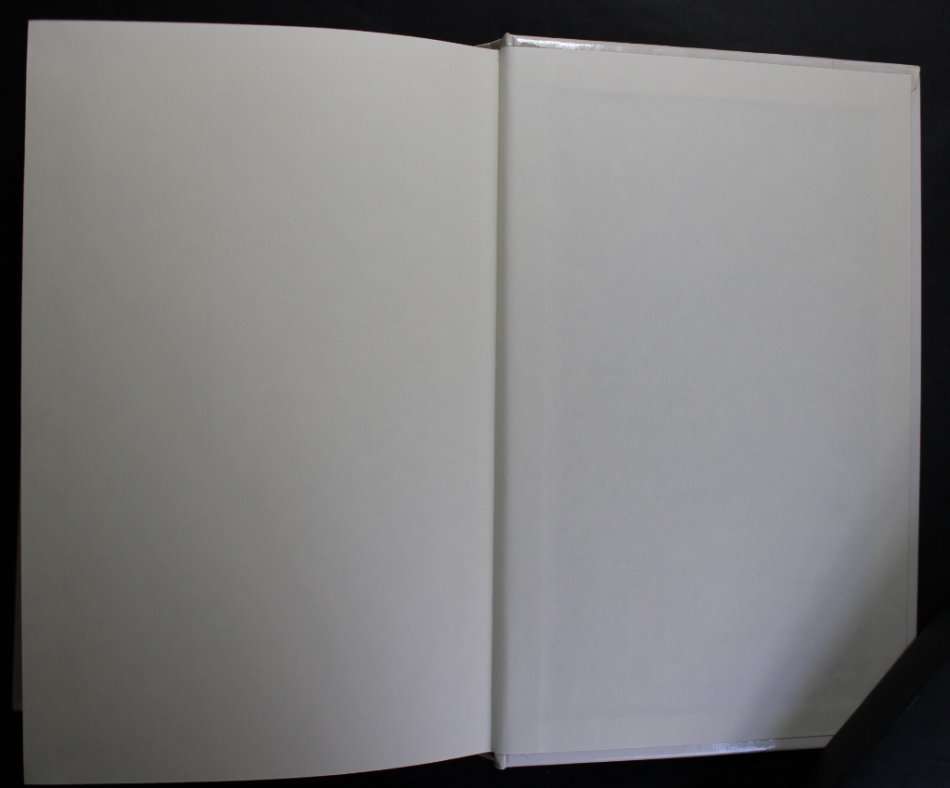 Red Square by Martin Cruz Smith, Hardcover Book, Large Print