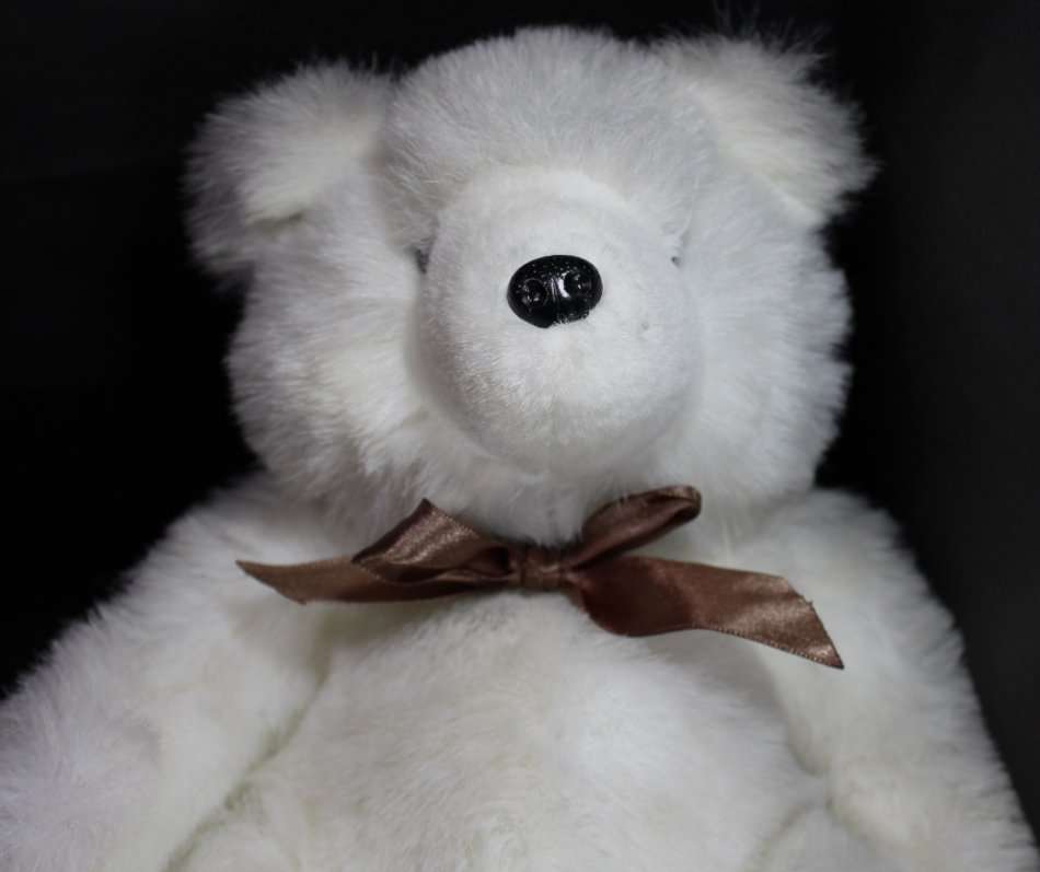 Large Toy Polar Bear with Brown Ribbon