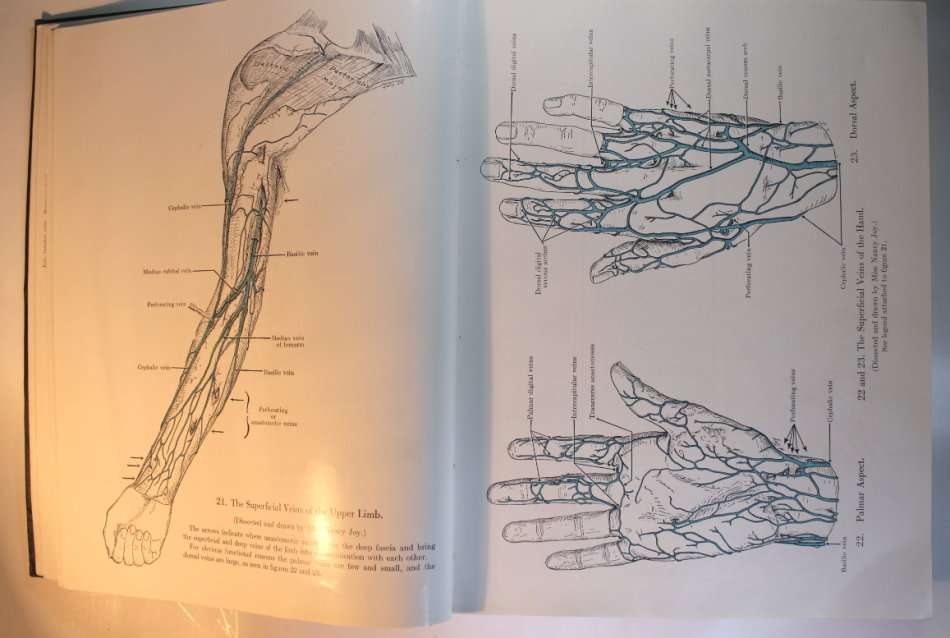 An Atlas of Anatomy by Boileau Grant Fourth Edition 1956 Hardcover Book