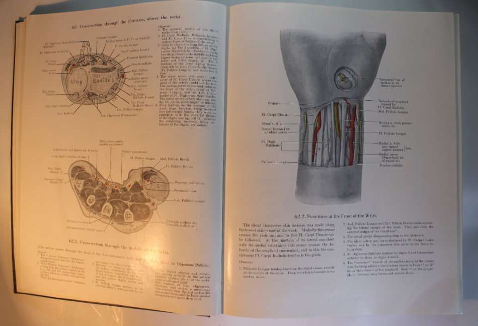 An Atlas of Anatomy by Boileau Grant Fourth Edition 1956 Hardcover Book