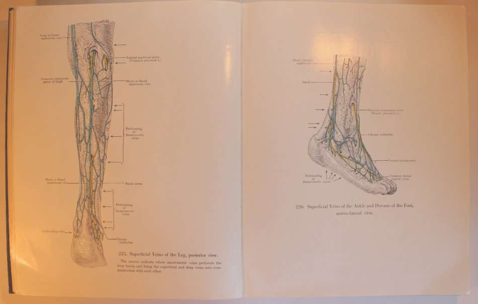 An Atlas of Anatomy by Boileau Grant Fourth Edition 1956 Hardcover Book