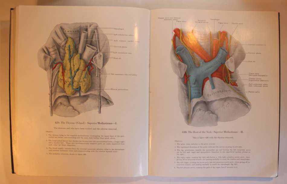 An Atlas of Anatomy by Boileau Grant Fourth Edition 1956 Hardcover Book