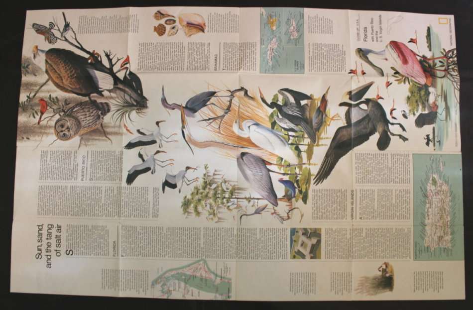 National Geographic Folded Map of Florida, November 1973
