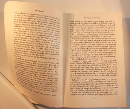 The Woman In The Woods by John Connolly Softcover Book