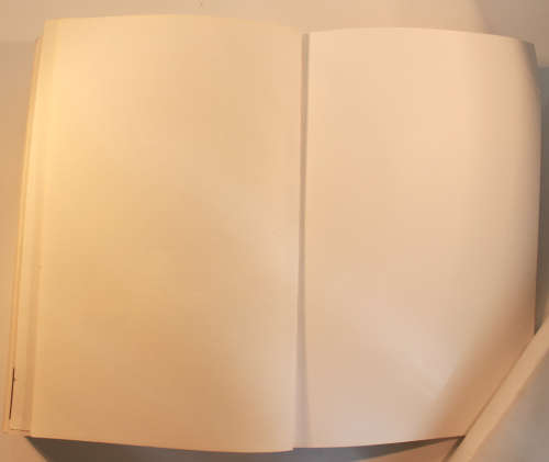 The Woman In The Woods by John Connolly Softcover Book