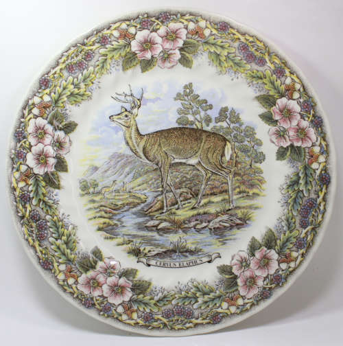 Vintage Decorative Plate by Churchill - Wildlife Scenes Series `Cervus Elaphus`