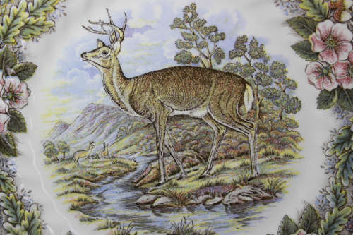 Vintage Decorative Plate by Churchill - Wildlife Scenes Series `Cervus Elaphus`