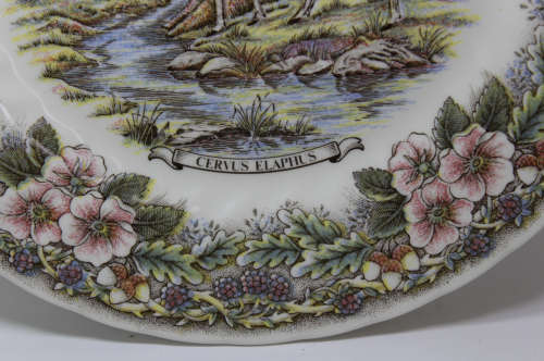 Vintage Decorative Plate by Churchill - Wildlife Scenes Series `Cervus Elaphus`
