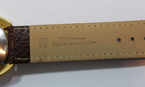 Rotary 21 Jewels Automatic Men`s Gold Plated Wristwatch New Leather Strap