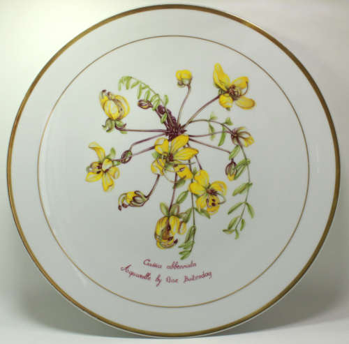 Langenthal Suisse Plate `Cassia Abbreviata` Aquerelle by Elise Buitendag